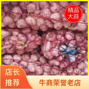 精品大蒜，产地直供，代发全国，一手货源，质量保证