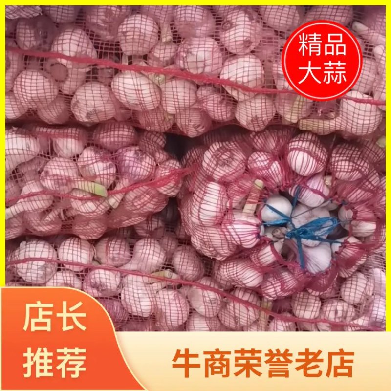 精品大蒜，产地直供，代发全国，一手货源，质量保证