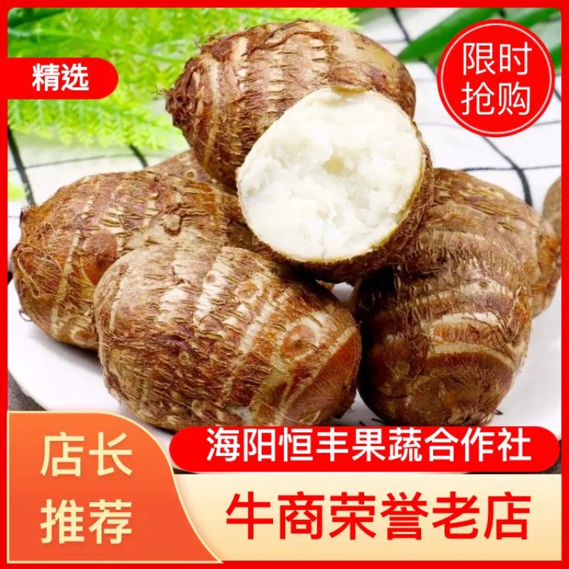 山东毛芋头8520粉糯香芋产地批发芋艿通货精品团购社区