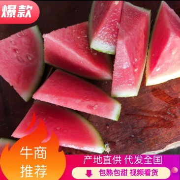【热卖】8424西瓜产地直供货源充足，有专业的挑瓜师