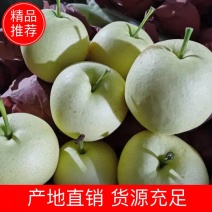 精品皇冠梨，日照长汁水充足，现货现发，