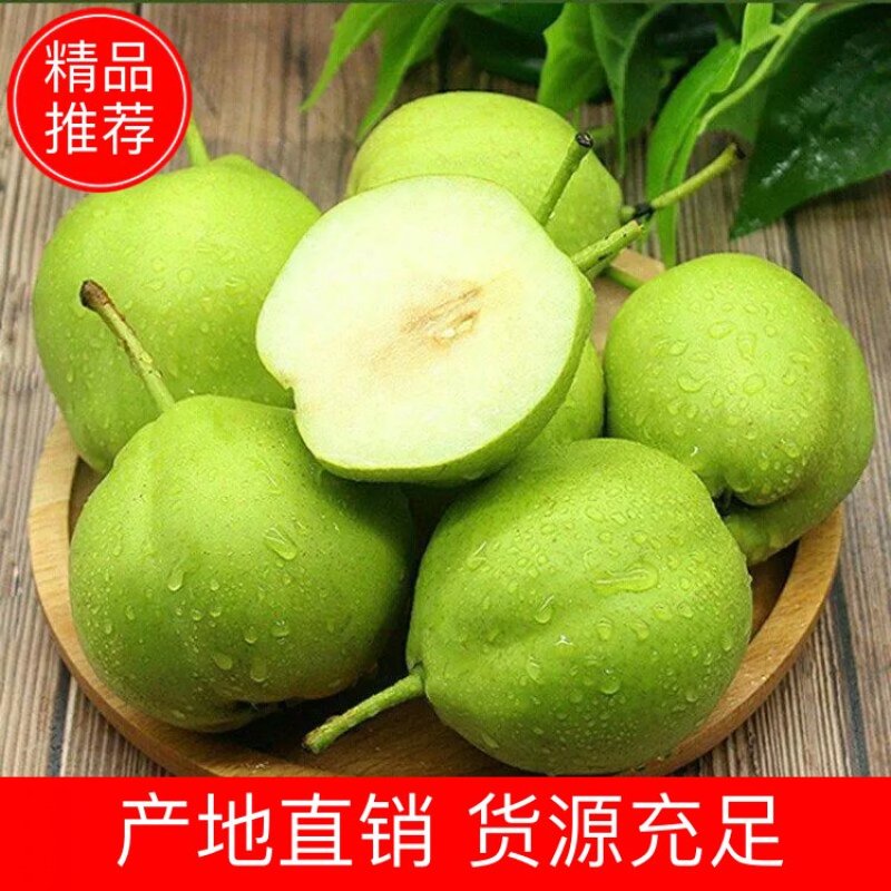 沙漠酥梨，生长在沙漠地带早酥梨，青皮脆甜，