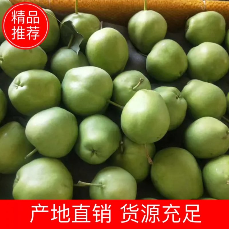 沙漠酥梨，生长在沙漠地带早酥梨，青皮脆甜，