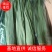 粽叶（芦苇叶）端午节前大量供应批发，欢迎全国批发商联系订