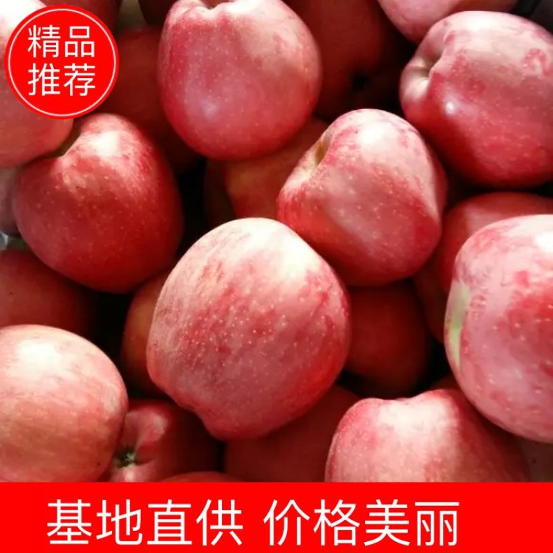 纸加膜红富士河南三门峡水晶红富士产地直供