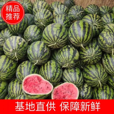 蒲城精品甜王西瓜，产地直销，一手货源。代发全国。质量优良