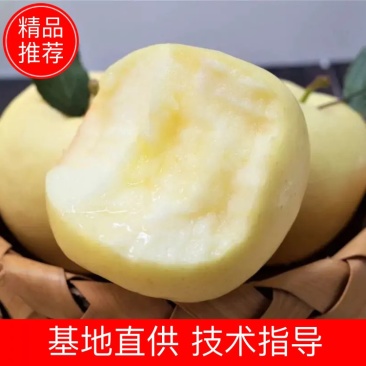 正宗烟台维纳斯黄金奶油富士一件代发坏果包赔