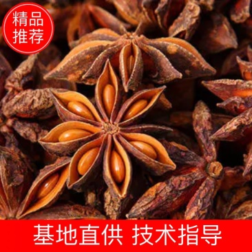 【餐饮专供】正宗广西八角各种大料电商社区团购批发