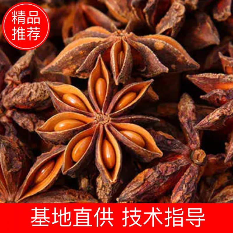 【餐饮专供】正宗广西八角各种大料电商社区团购批发