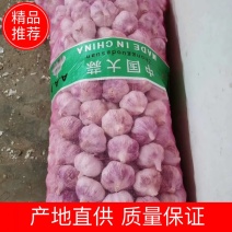 精品大蒜，代发全国，精品包装，品质保障，专业代办，