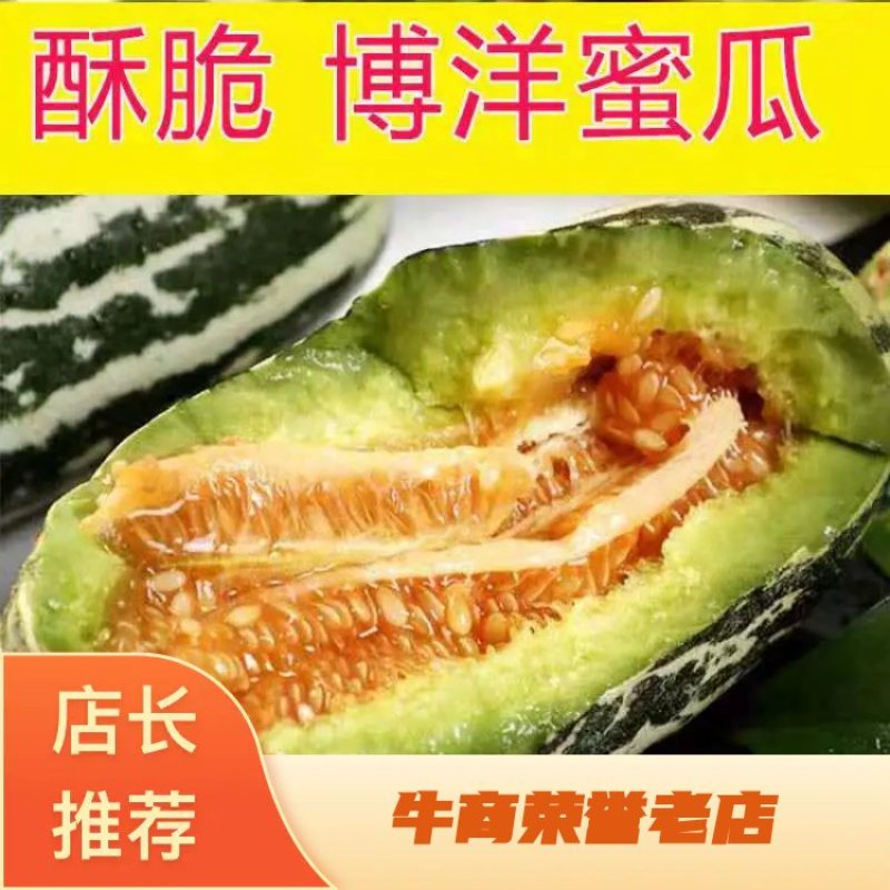 博洋甜瓜，羊角脆等大量供货，产地直发，保质保量