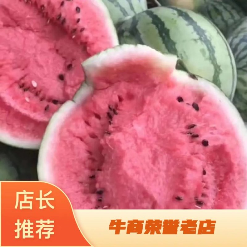 美都嘉年华，京欣，，8424黑子，无子产地直供，一手货源