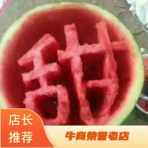 大棚8424西瓜7斤打底8成熟1茬万亩果园基地