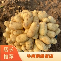 精品沙地土豆🥔新鲜产地直发货源充足欢迎选购