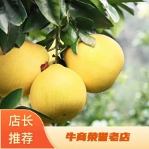 精品老树红心蜜柚正宗果肉饱满鲜嫩多汁产地直发