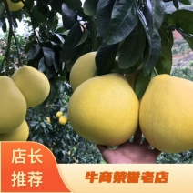 大红柚☺️1.5斤起个头均匀果面光滑皮薄肉红产地专业代办