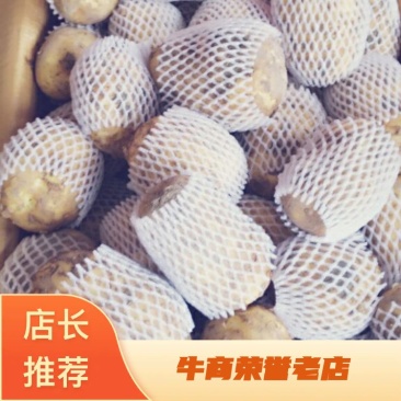 新土豆🥔2两以上精品产地直发货源充足