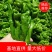 【鲜辣椒】山东螺丝椒芜湖椒产地直供现摘现发质量保证