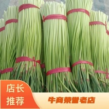 精品红帽蒜苔，长度70~80，无泡水，干苔.代发全国。