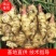山东大黄姜生姜电商货，团购，商超批发烂坏包陪支持一件代发