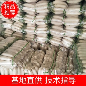 打包罗卜，有三排包的，有四排包的，欢迎客户实地监督质量