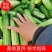 重庆黄瓜，自产自销，，精品黄瓜打包，颜色条型顺直，油亮