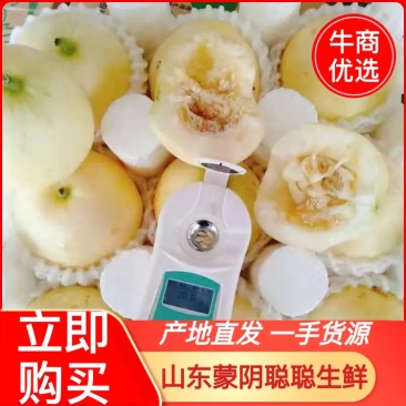 甜瓜星甜20小蜜蜂博洋羊角蜜产地直供可对接各种电商欢迎电联