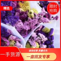 云南昆明勿忘我直发量大优惠包装发货贵一块，散发便宜一块