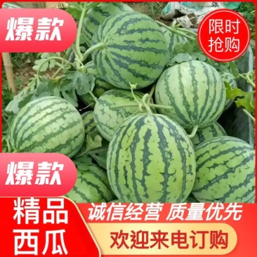 精品8424西瓜，大小均匀，口感好。卖相好，果形好，