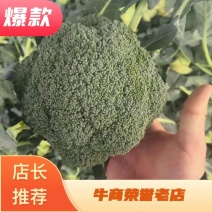 西兰花加工厂货大量上市中，欢迎各加工厂客户前来采购！量大
