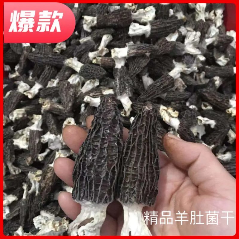【正宗】羊肚菌优质羊肚菌正宗野生的羊肚菌干足斤足两