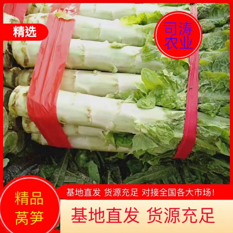 莴笋以大量上市，欢迎各大超市加工厂的老板可以下单了，大量