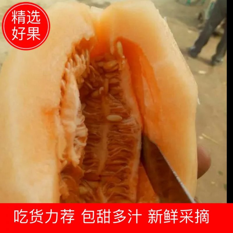 甜瓜优质大棚甜瓜基地品种多皮薄包熟包甜！