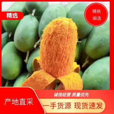 【椰香芒果】四川精品芒果皮薄肉厚香甜多汁支持视频看货