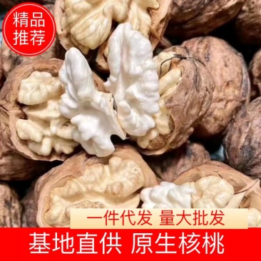 【核桃】103核桃果大、壳薄、味香净果/青皮预售