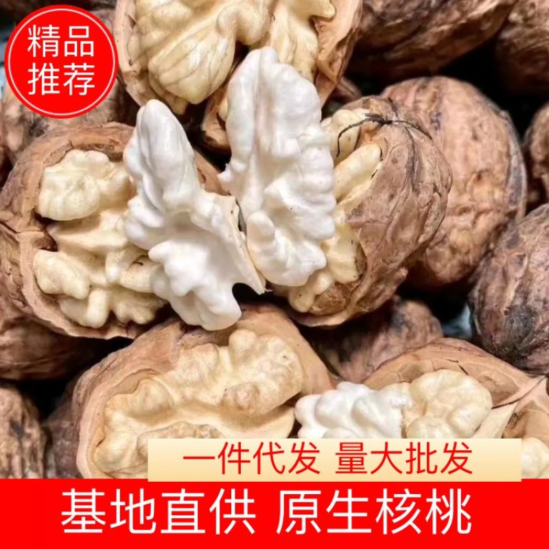 【核桃】103核桃果大、壳薄、味香净果/青皮预售