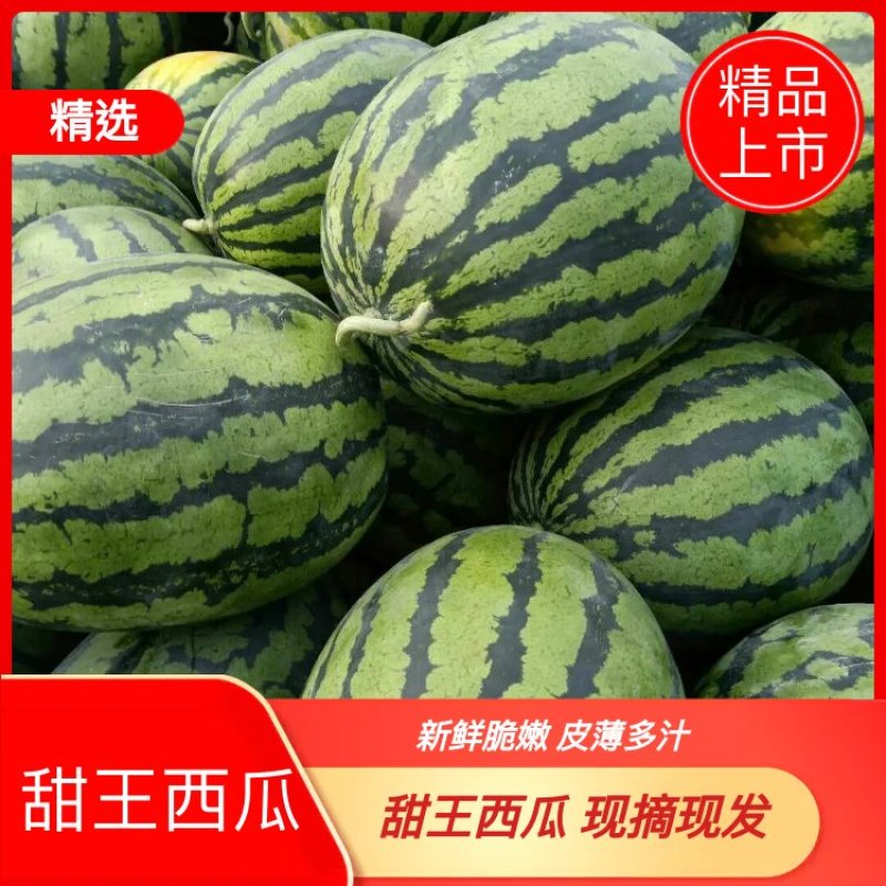 大量供应大棚甜王西瓜一手货源产地直销质量保证代发全国