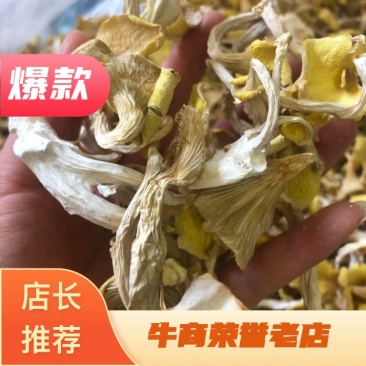 鸡油菌，味道香，颜色好，优质货，包邮，可视频看货