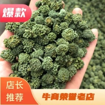 三七花，云南文山三七花，颜色好，花朵紧致