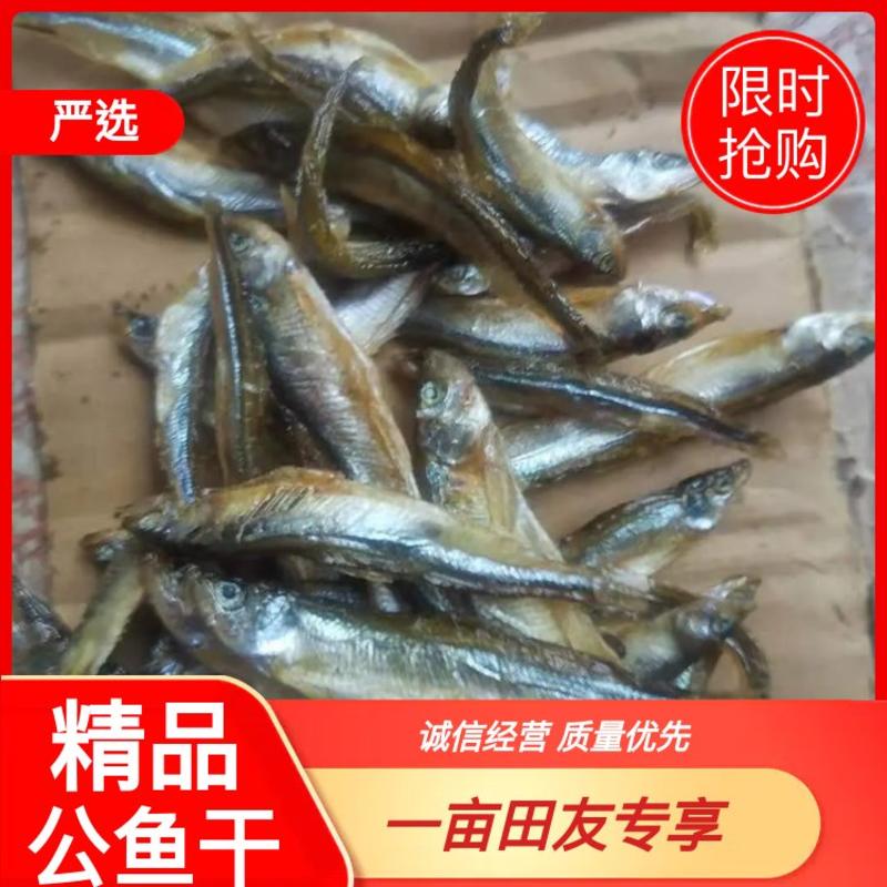 鱼干公鱼干基地直发大量上市货量充足价格美丽欢迎联系