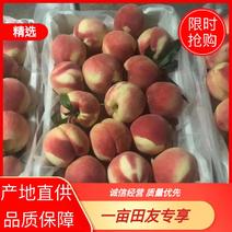 山东红桃红毛桃北京8号毛桃水蜜桃品种齐全，可视频看货