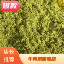 湖北襄阳今年精品新季金银花自家种植产地直销量大从优