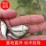 中科三号，中科五号鲫鱼苗，生长速度快产量效率高，苗场直供