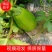 【茄子】青茄大量上市基地直供损坏包赔量大从优