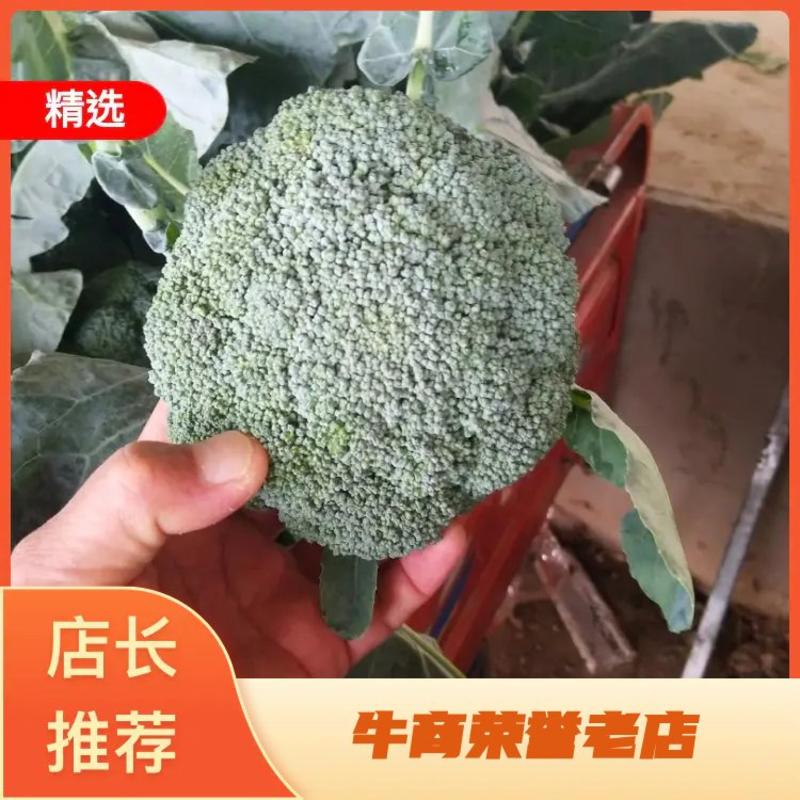 西兰花，精品，个头大小匀称，色泽亮丽，货原充足，价格美丽