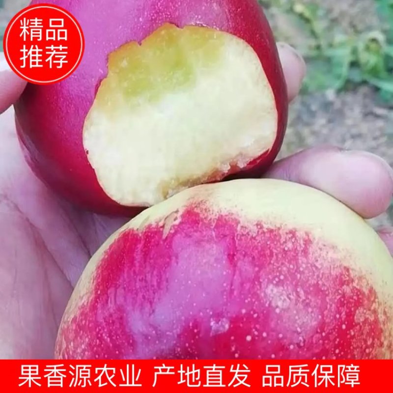 露天黄油，支持一件代发大量供应中支持各种规格