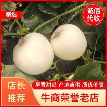 大棚早雪薄皮甜瓜，质优价廉，诚信代办。本人做代办十多年