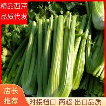 河南省鹿邑县西芹产地，优质西芹，可视频看货，各种包装