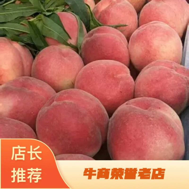 【推荐】精品突围毛桃产地直销对接各大电商，商超，社区团购
