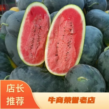 万亩黑美人西瓜基地对接各大电商商超社区团购